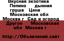 Вкусная экзотика  - Пепино  -  дынная груша › Цена ­ 50 - Московская обл., Москва г. Сад и огород » Другое   . Московская обл.,Москва г.